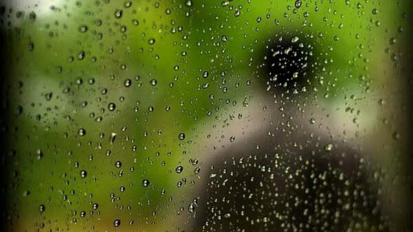 জাহাঙ্গীর ডালিমের “বৃষ্টি ভেজা কবিতা”কাব্য গ্রন্থের মোড়ক উন্মোচন