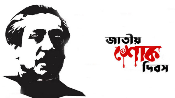 জাতীয় শোক দিবস পালনে উপজেলা যুবলীগের প্রস্তুতিমূলক সভা