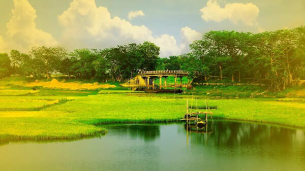সৎ ও মেধাবীরাই বঙ্গবন্ধুর সোনার বাংলা বাস্তবায়ন করছে দুদক কমিশনার: ড. মোঃ মোজাম্মেল হক খান
