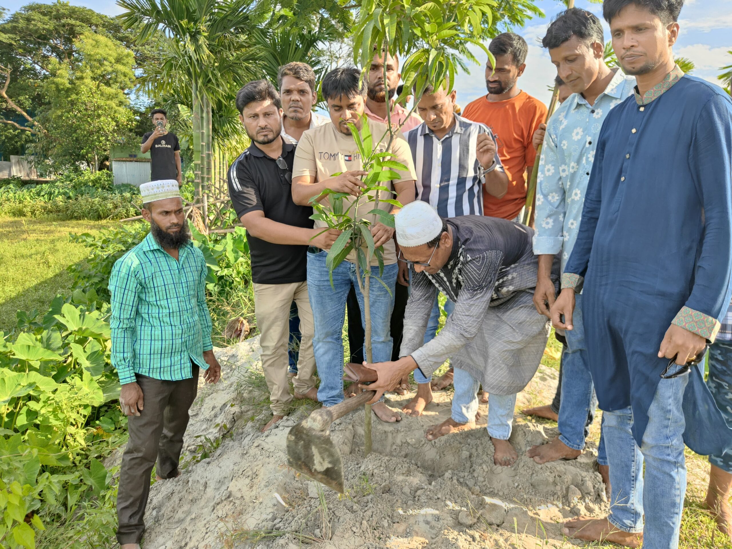 সোনারগাঁয়ে বিএনপি নেতার বৃক্ষ রোপন কর্মসূচী