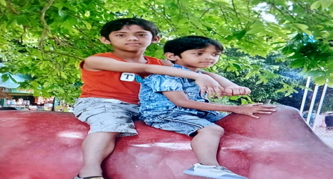 সোনারগাঁয়ে পুকুরে ডুবে দুই ভাইয়ের মৃত্যু,
