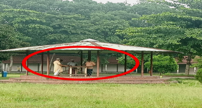 সোনারগাঁও জাদুঘরের জামদানী পল্লীতে পর্যটকদের বিনোদনস্থলে কেরাম খেলা, সমালোচনার ঝড়