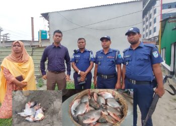 সোনারগাঁয়ে ভ্রাম্যমান আদালতের অভিযানে নিষিদ্ধ পিরানহা মাছ জব্দ,জনসম্মুখে বিনষ্ট