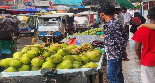 মোগরাপাড়া চৌরাস্তার মূল সড়ক এখন ভ্যান চালকদের দখলে, বাড়ছে যানজট ও জনভোগান্তি