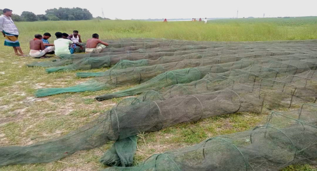 সোনারগাঁওয়ে নিষিদ্ধ ‘চায়না জাল’-এর অবাধ ব্যবহার, হুমকিতে মেঘনা নদীর জীববৈচিত্র্য