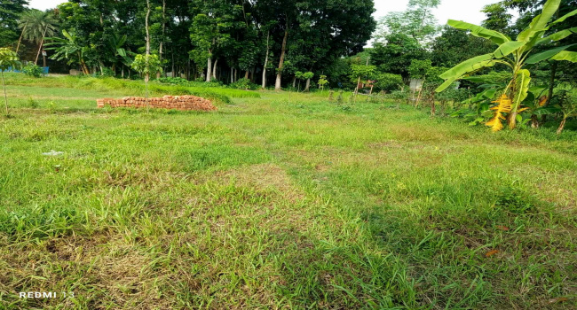 সোনারগাঁয়ে ৩ শতাংশ জমি জালিয়াতি করে দখলের চেষ্টার অভিযোগ