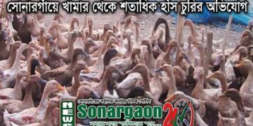 সোনারগাঁয়ে খামার থেকে শতাধিক হাঁস চুরির অভিযোগ