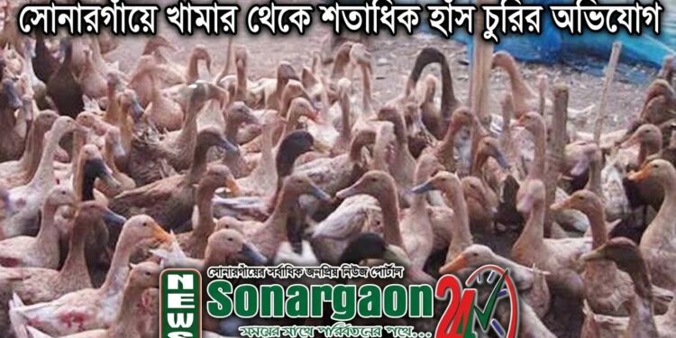 সোনারগাঁয়ে খামার থেকে শতাধিক হাঁস চুরির অভিযোগ