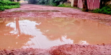 সোনারগাঁও জাদুঘরে প্রবেশের রাস্তার বেহাল দশা, দুর্ভোগে পর্যটক ও স্থানীয়রা