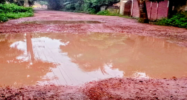 সোনারগাঁও জাদুঘরে প্রবেশের রাস্তার বেহাল দশা, দুর্ভোগে পর্যটক ও স্থানীয়রা
